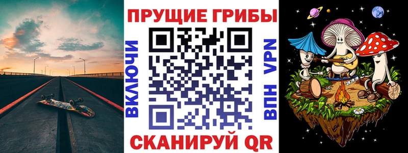 закладки  Качканар  Псилоцибиновые грибы Magic Shrooms 
